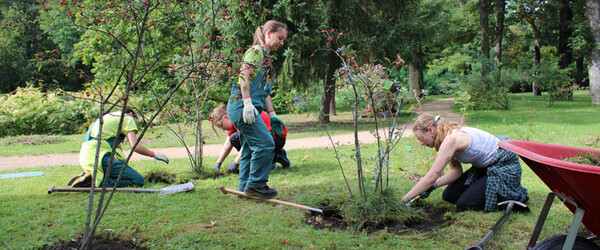 Header image FSJ in der Gartendenkmalpflege