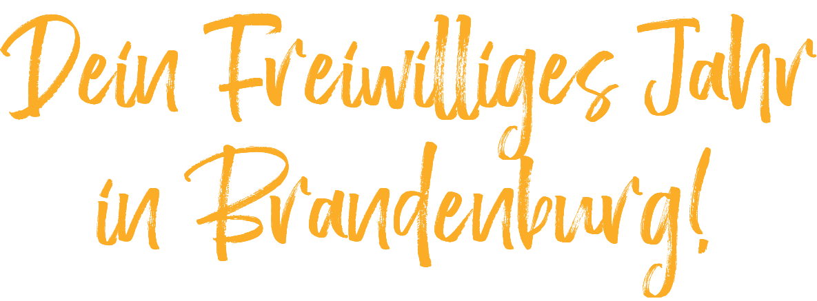 Dein Freiwilliges Jahr in Brandenburg! 